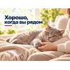 Kippy Natural с тунцом и креветками дополнительный корм для взрослых кошек, 70 г