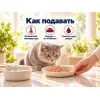 Kippy Paté с говядиной влажный корм для взрослых кошек, 400 г