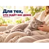 Kippy Paté с говядиной влажный корм для взрослых кошек, 400 г