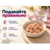 Kippy Sauce с тунцом дополнительный корм для взрослых кошек, 70 г