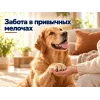 Kippy ONE Monoprotein с ягнёнком влажный корм для собак, 400 г