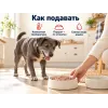 Kippy ONE Monoprotein с телятиной влажный корм для собак, 400 г