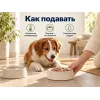 Kippy ONE Monoprotein с олениной влажный корм для собак, 200 г