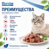 Monge Cat Speciality Line Monoprotein Beef 80 г — влажный корм для взрослых кошек с говядиной