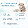 Monge Monoprotein Trout для котят 85 г — влажный беззерновой паштет с форелью