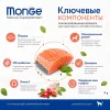 Monge Best for Breeders Adult Cat Chicken сухой корм с курицей для взрослых кошек, 10 кг