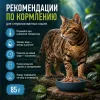 Monge BWild Cat Sterilised Tuna with Shrimps влажный корм с тунцом, креветками и овощами, 85 г