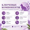 Monge Cat Adult Chicken сухой корм с курицей для взрослых кошек 1,5 кг