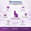Monge Cat Adult Chicken сухой корм с курицей для взрослых кошек 400 г