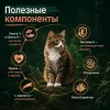 Сухой корм Monge Cat BWild GRAIN FREE для кошек, из лосося, беззерновой, 1,5 кг