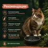 Сухой корм Monge Cat BWild GRAIN FREE для кошек, из лосося, беззерновой, 1,5 кг