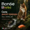 Сухой корм Monge Cat BWild GRAIN FREE для кошек, из лосося, беззерновой, 1,5 кг