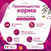 Monge Cat BWild Low Grain Anchovies сухой низкозерновой корм с анчоусами для взрослых кошек 10 кг