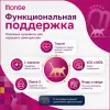 Monge Cat BWild Low Grain Anchovies сухой низкозерновой корм с анчоусами для взрослых кошек 10 кг