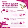 Monge Cat BWild Low Grain Anchovies сухой низкозерновой корм с анчоусами для взрослых кошек 10 кг