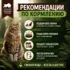 Monge Cat BWild Paté Buffalo with Vegetables влажный корм-паштет с буйволом для кошек крупных пород 100 г