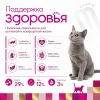 Monge Cat Indoor Chicken сухой корм с курицей для домашних кошек 10 кг