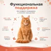 Monge Cat Monoprotein Adult Salmon сухой корм с лососем для взрослых кошек 1,5 кг