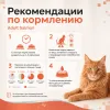 Monge Cat Monoprotein Adult Salmon сухой корм с лососем для взрослых кошек 1,5 кг