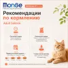 Monge Cat Monoprotein Adult Salmon сухой корм с лососем для взрослых кошек 10 кг
