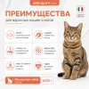Monge Cat Monoprotein Adult Salmon корм для взрослых кошек с лососем 400 г