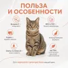Monge Cat Monoprotein Adult Salmon корм для взрослых кошек с лососем 400 г