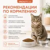 Monge Cat Monoprotein Adult Salmon корм для взрослых кошек с лососем 400 г