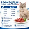 Monge Cat Speciality Line Monoprotein Beef 80 г — влажный корм для взрослых кошек с говядиной