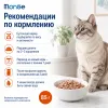Monge Cat Monoprotein Turkey влажный корм с индейкой для взрослых кошек 85 г