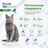 Сухой корм Monge Cat Daily Line Sterilised для стерилизованных кошек, из курицы, 400гр., 400 г