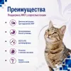 Monge VetSolution Cat Gastrointestinal 400 г — сухой диетический корм для кошек при заболеваниях ЖКТ