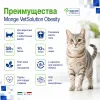 Monge VetSolution Cat Obesity сухой диетический корм для кошек при избыточном весе 400 г