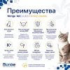 Monge VetSolution Cat Urinary Oxalate сухой диетический корм для кошек при оксалатной МКБ 1,5 кг
