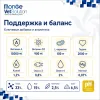 Monge VetSolution Cat Urinary Oxalate сухой диетический корм для кошек при оксалатной МКБ 1,5 кг