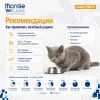 Monge VetSolution Cat Urinary Struvite сухой диетический корм для кошек при струвитной МКБ 1,5 кг