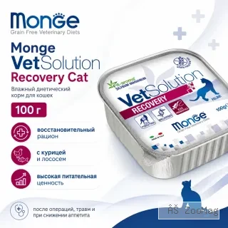 Monge VetSolution Cat Dermatosis 100 г — влажный диетический корм для кошек при дерматозах и аллергии