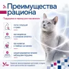 Monge VetSolution Cat Dermatosis 100 г — влажный диетический корм для кошек при дерматозах и аллергии