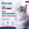 Monge VetSolution Cat Dermatosis 100 г — влажный диетический корм для кошек при дерматозах и аллергии