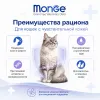 Monge VetSolution Recovery Cat 100 г — влажный диетический корм для кошек для восстановления