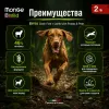 Monge Dog BWild Grain Free Lamb Potato Peas сухой беззерновой корм с ягнёнком для взрослых собак 12 кг