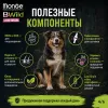 Monge Dog BWild Low Grain Wild Boar сухой корм с диким кабаном для взрослых собак всех пород 2,5 кг