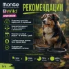 Monge Dog BWild Low Grain Wild Boar сухой корм с диким кабаном для взрослых собак всех пород 2,5 кг