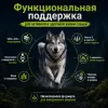 Monge BWild Low Grain All Breeds Adult Wild Boar сухой низкозерновой корм с диким кабаном для взрослых собак, 2,5 кг