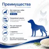 Monge Natural Superpremium Medium Adult Chicken сухой корм с курицей для взрослых собак средних пород, 12 кг