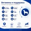 Monge Natural Superpremium Medium Adult Chicken сухой корм с курицей для взрослых собак средних пород, 12 кг