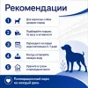 Monge Natural Superpremium Medium Adult Chicken сухой корм с курицей для взрослых собак средних пород, 12 кг