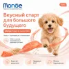 Monge Dog Extra Small Adult Lamb & Rice сухой корм с ягнёнком для взрослых собак миниатюрных пород 2,5 кг
