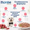 Monge Dog Fresh Beef влажный корм с говядиной для взрослых собак 100 г