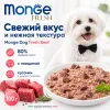 Monge Dog Fresh Beef влажный корм с говядиной для взрослых собак 100 г