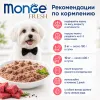 Monge Dog Fresh Beef влажный корм с говядиной для взрослых собак 100 г